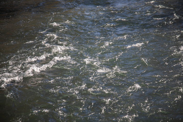 flowing river and sunny day