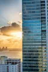 Sunrise in a big city. Sun filtering through modern skyscrapers