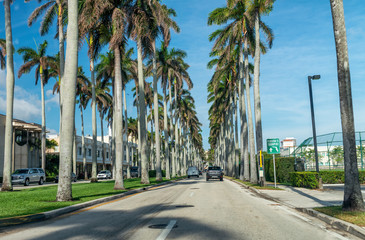 Fototapeta na wymiar Royal Palm Way in Palm Beach Island, Florida. Street view on a beautiful spring sunny day