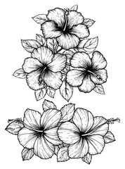 Hand drawn tropical hibiscus flower bouquet with leaves. Sketch florals on white background. Exotic blooms, engraving style for textile, surface design or banner. Great template for coloring book.