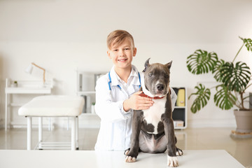 Little veterinarian examining cute dog in clinic
