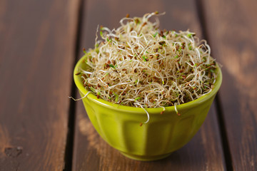 lucern germs on dark wooden surface