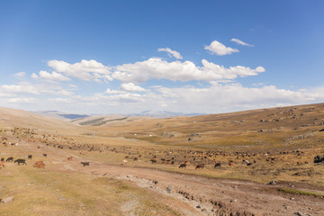 Altai Tavan Bogd National Park in Bayar-Ulgii, Mongolia.