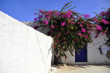 Projekt Djerbahood, street art, Djerba Tunezja © Albin Marciniak
