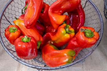 A wire basket of whole raw red peppers ripening to a deep rich red colour at a market.  The bunch of peppers have a long body with odd shapes. The skin on the organic peppers is thick and shiny. 