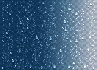Naklejka na ściany i meble Realistic water droplets on the transparent background. Vector