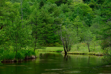 上高地　田代池