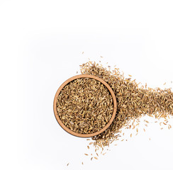 Fennel seeds in a wooden bowl - Foeniculum vulgare