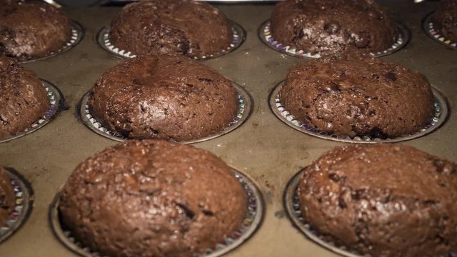 Delicious double chocolate chip muffins time-lapse footage. Home made muffins in a pan baking and rising in an oven. Panning from left to right