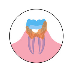 Vector isolated illustration of tooth 