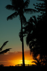 Obraz premium Sunset, Maui, Hawaii