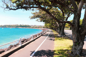 Fototapeta na wymiar Auckland cycle and walking track, following the perimeter of the harbour