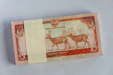 A Nepal paper currency banknote isolated on a white background.