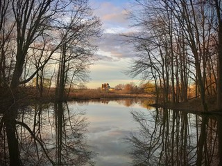 Reflections on a Farm Pond