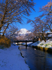 Cherry blossoms and Mt. Fuji in the spring snow scene from Shinnasyo River in Oshino Village Japan 04/14/2020