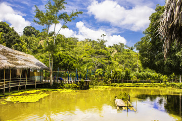 Foto de Contamana Ucayali Perú en medio de la Selva peruana, con hermoso cielo despejado