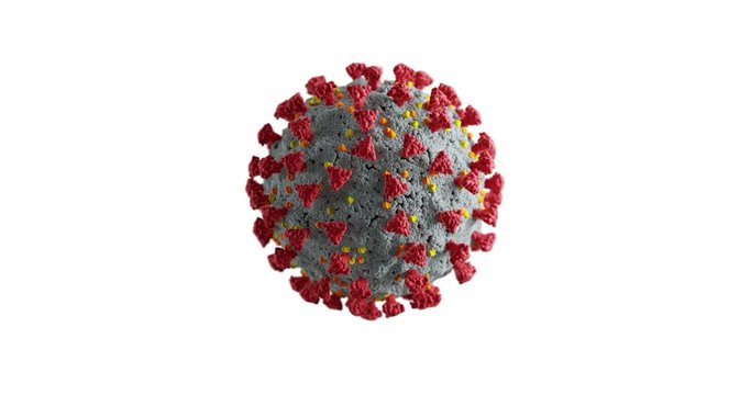 COVID19 3D virus isolated active