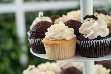 cupcakes with frosting on trays