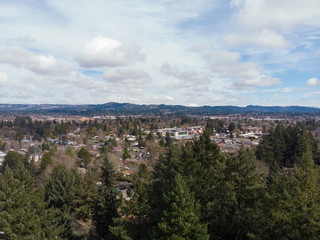 Suburb from a height, USA, filmed from a drone. Trees and houses