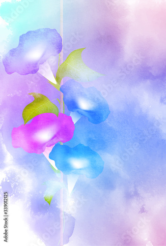 朝顔 水彩 暑中見舞い 背景 Wall Mural Wallpaper Murals J Boy 朝顔 水彩 暑中見舞い 背景 Wall Mural Wallpaper Murals J Boy