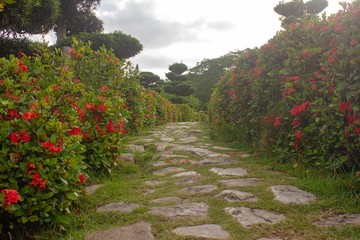 Obraz premium path in the garden