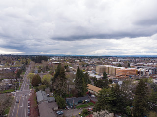 Suburb from a height, USA, filmed from a drone. Trees and houses