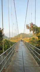 bridge over the river in the forest