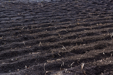 Plowed field in the spring. Agriculture, soil before sowing. Fertile land texture, rural field landscape