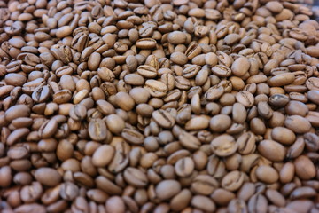 medium roast coffee bean 