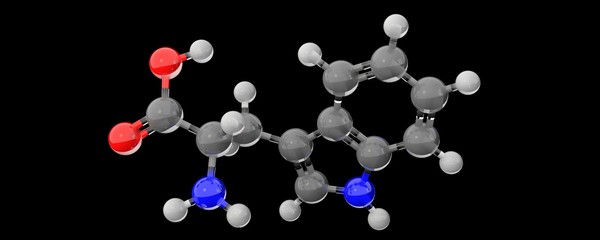 3d render glass materials tryptophan molecule structure 