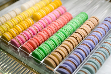 colorful macaroon 