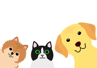 cute cat and dogs group