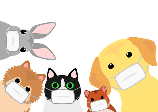 Cute Home Pets Animals Group With Medical Masks