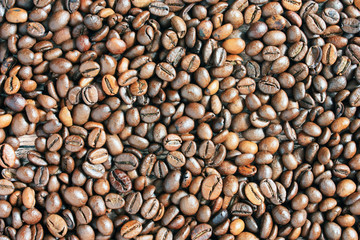 Coffee beans on the table