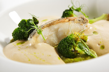 Sea cod fillet close up