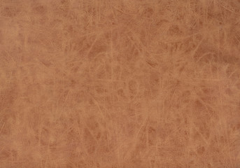 Brown skin background or texture