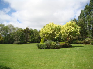 Parc arboré