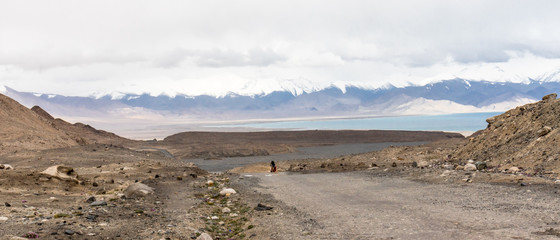 panorama of the mountains