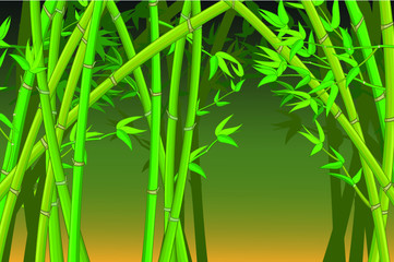 Green Bamboo Trees in Forest Cartoon Vector Illustration