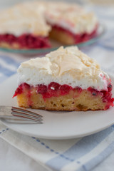 Delicious homemade tart with red currants and meringue