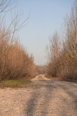 Long straight country road