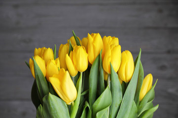 A bouquet of yellow tulips in a paper wrapper, on a blue background. copy  space .