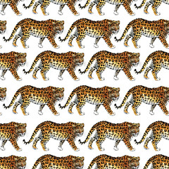 leopard pattern design. panther seamless background. animal print.