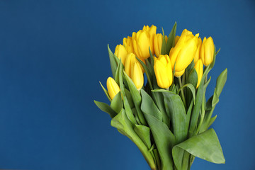 Bright festive bouquet . Fresh yellow tulips on a blue background. copy space.