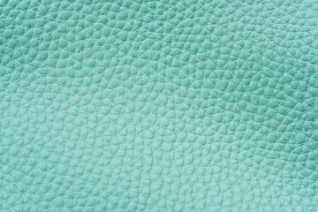 Mint green leather background