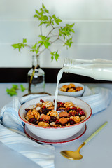 Pouring milk into a granola bowl with walnuts, chocolate and dried cranberries. Small bowl with nuts, spoon, towel, green branch on the background. A vertical still life