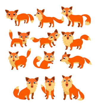 A cartoon set of cute fox isolated