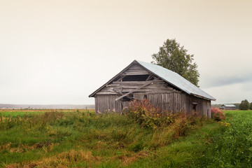 Summer Rain On The Fields
