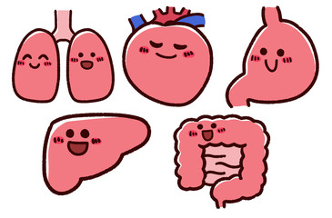かわいい手書き臓器セット　笑顔　健康