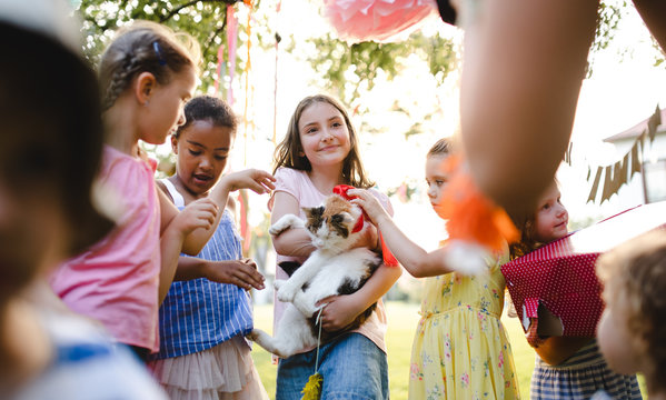 Small children outdoors in garden in summer, holding present pet cat.